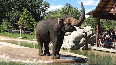 Denver Zoo photo 3