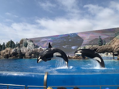 SeaWorld San Diego photo 4