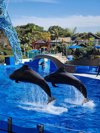 SeaWorld San Diego photo 3