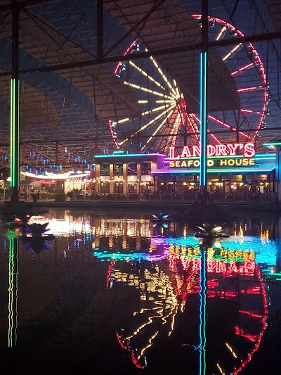 The St. Louis Wheel photo 4