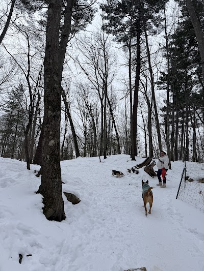 Quarry Run Dog Park photo 4