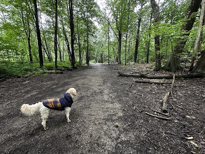 Quarry Run Dog Park photo 2