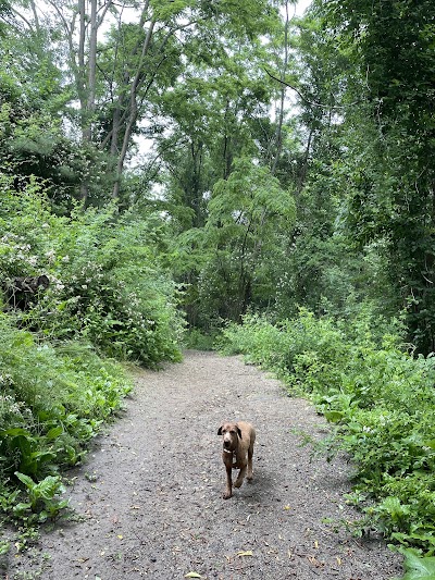 Quarry Run Dog Park photo 3