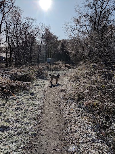 Quarry Run Dog Park photo 5