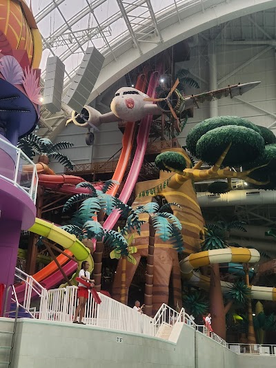 DreamWorks Water Park photo 2