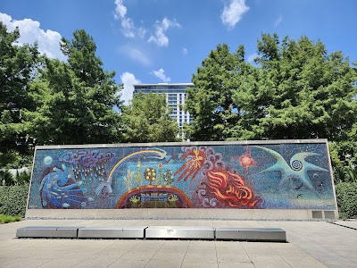 Dallas Museum of Art photo 4