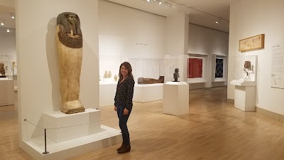 Dallas Museum of Art photo 5