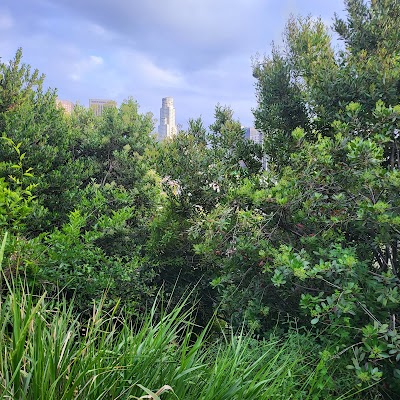 Vista Hermosa Natural Park, Mountains Recreation & Conservation Authority photo 4