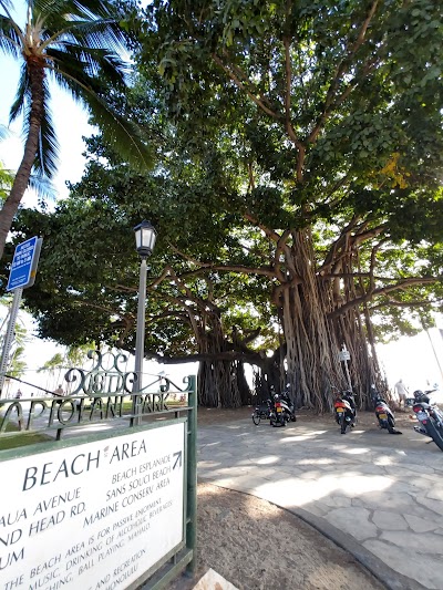 Kuhio Beach photo 5