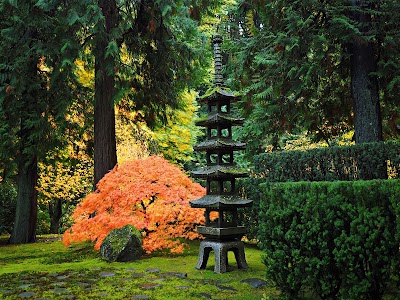 Portland Japanese Garden photo 4