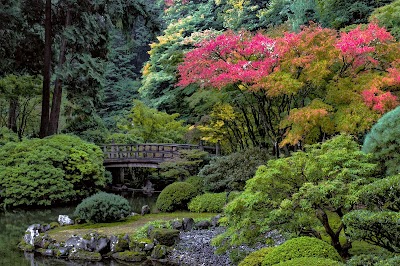 Portland Japanese Garden photo 3