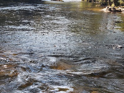 Fishing Salmon View photo 3