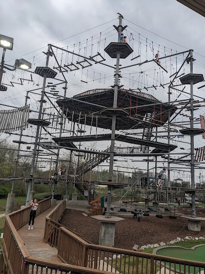 Soar Adventure Tower photo 3