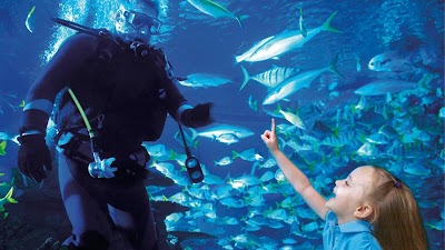 Aquarium Restaurant photo 3