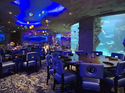 Aquarium Restaurant photo 4