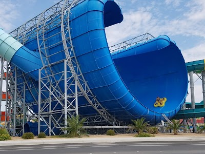 Cowabunga Bay Water Park photo 4