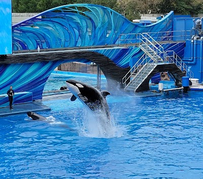 SeaWorld Orlando photo 2