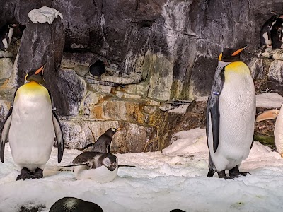 SeaWorld Orlando photo 4