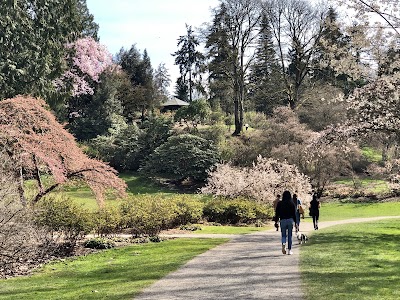 Washington Park Arboretum photo 3