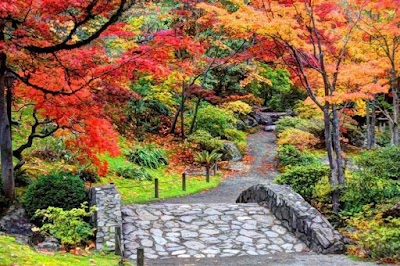 Washington Park Arboretum photo 2
