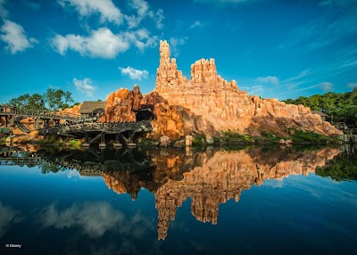 Magic Kingdom Park photo 4