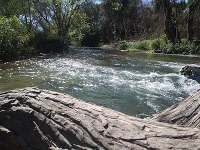 Brackenridge Park photo 4