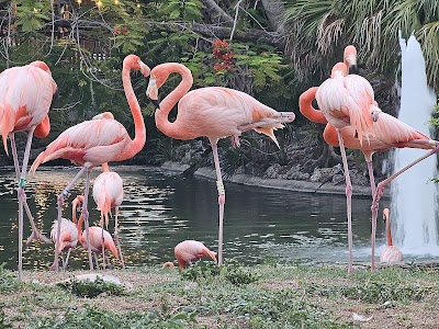 Busch Gardens Tampa Bay photo 3