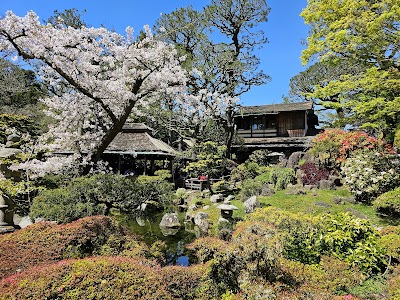 Japanese Tea Garden photo 3