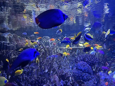 New England Aquarium photo 4