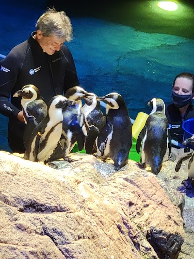 New England Aquarium photo 5
