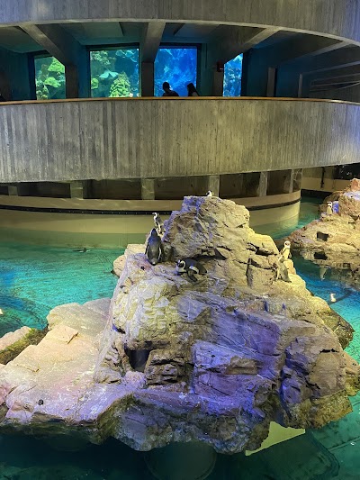 New England Aquarium photo 3