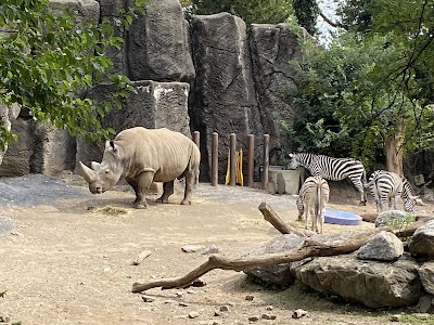 Philadelphia Zoo photo 4