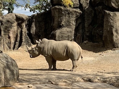 Philadelphia Zoo photo 5