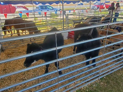 Charlotte Fair photo 3