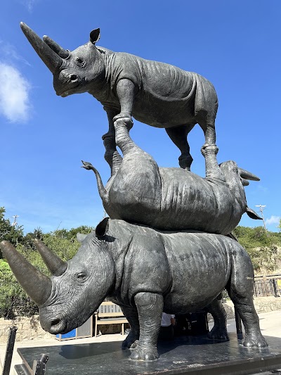 San Antonio Zoo photo 3