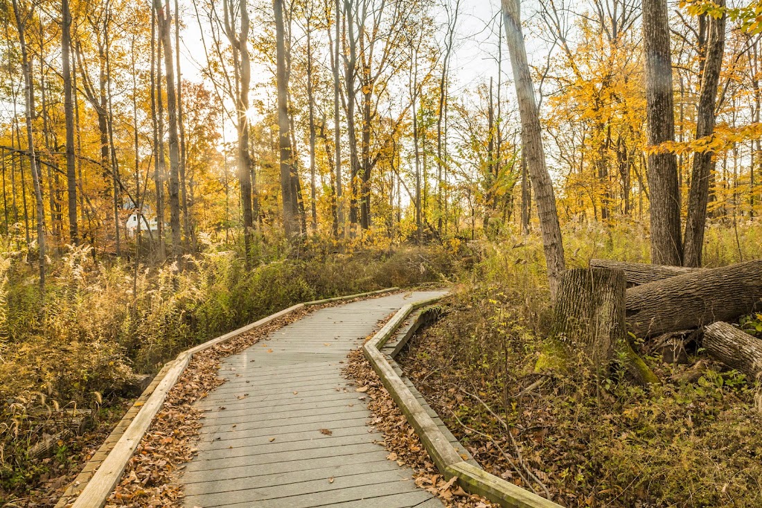 Central Park