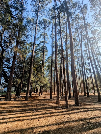 Daffin Park photo 3