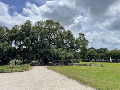 Hampton Park photo 4