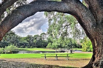 Hampton Park photo 3