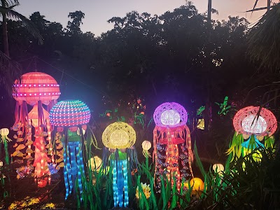 Jungle Island photo 2