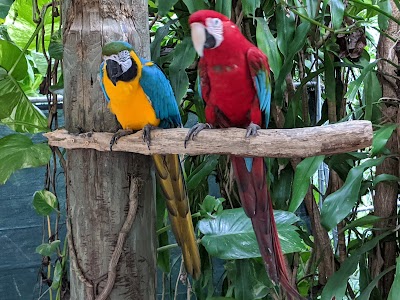 Jungle Island photo 4