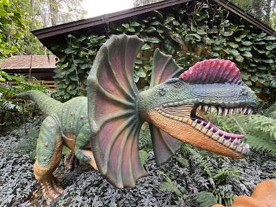 Dinosaur World photo 5