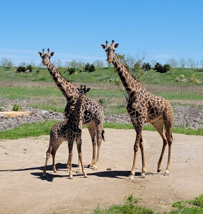 Columbus Zoo and Aquarium photo 3