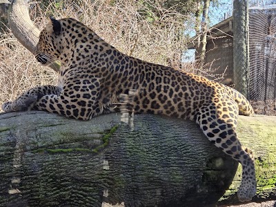 Columbus Zoo and Aquarium photo 5