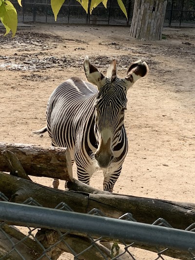 Zoo Boise photo 3