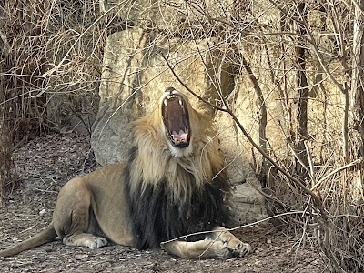 Zoo Boise photo 5
