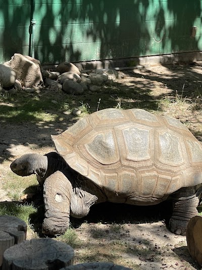 Zoo Boise photo 4