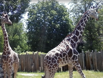 Zoo Boise photo 2