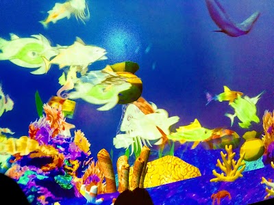 Explora Science Center and Children's Museum of Albuquerque photo 4