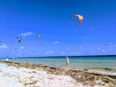 Hobie Island Beach Park photo 3